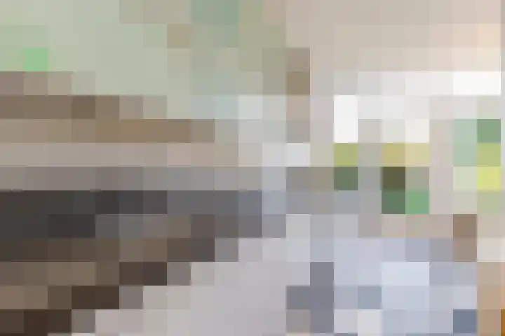 Warande 171 Schiedam thumbnail 24