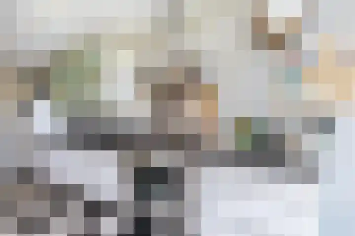 Warande 171 Schiedam thumbnail 25