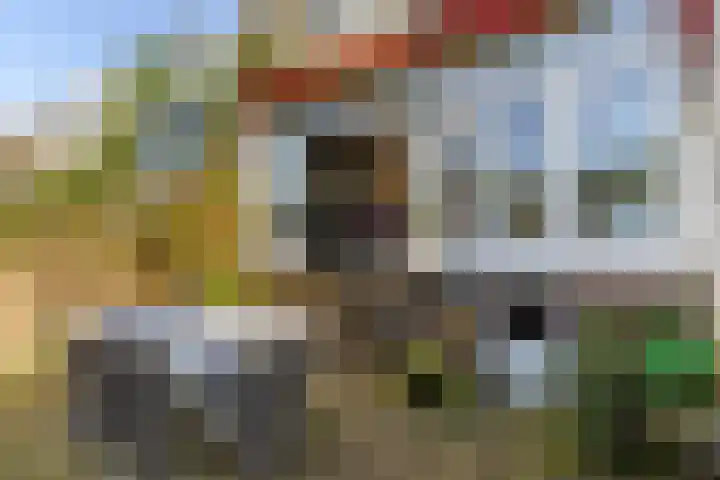 Warande 171 Schiedam thumbnail 27