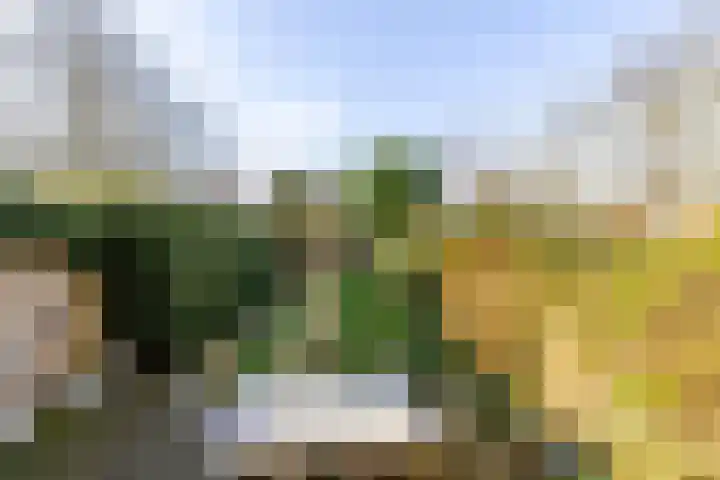 Warande 171 Schiedam thumbnail 29