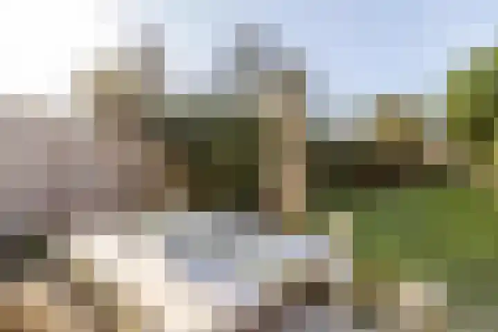 Warande 171 Schiedam thumbnail 31