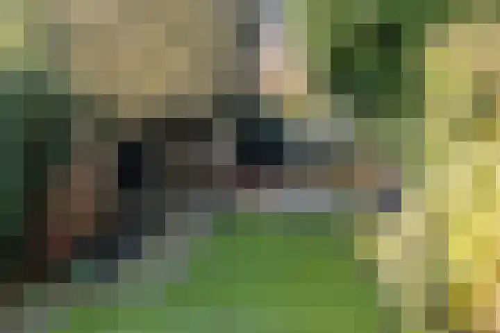 Warande 171 Schiedam thumbnail 32