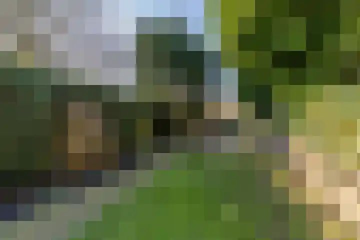 Warande 171 Schiedam thumbnail 36