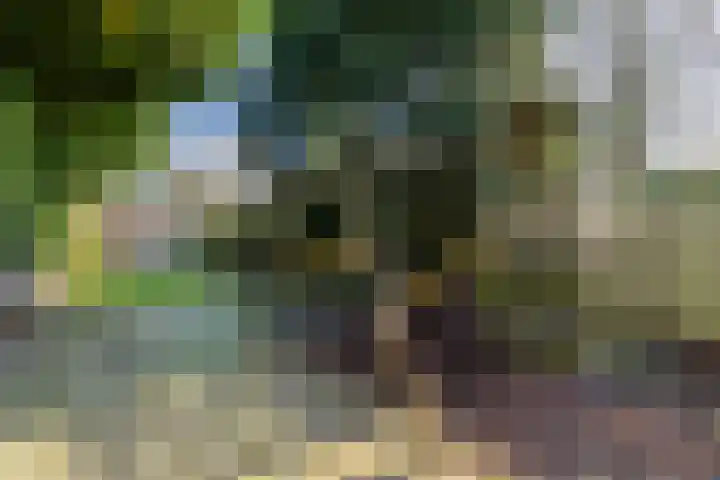 Warande 171 Schiedam thumbnail 38