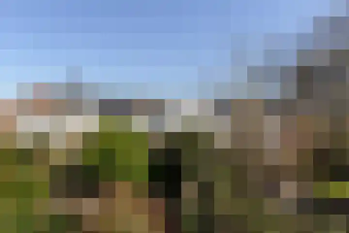 Warande 171 Schiedam thumbnail 39
