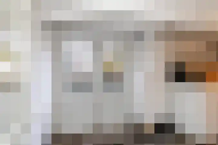 Warande 171 Schiedam thumbnail 40