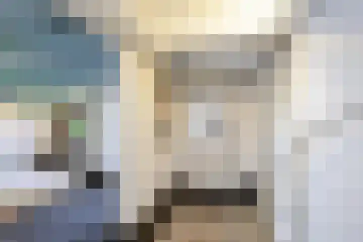 Warande 171 Schiedam thumbnail 42