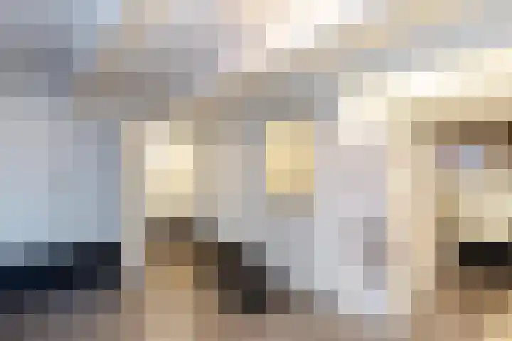 Warande 171 Schiedam thumbnail 43