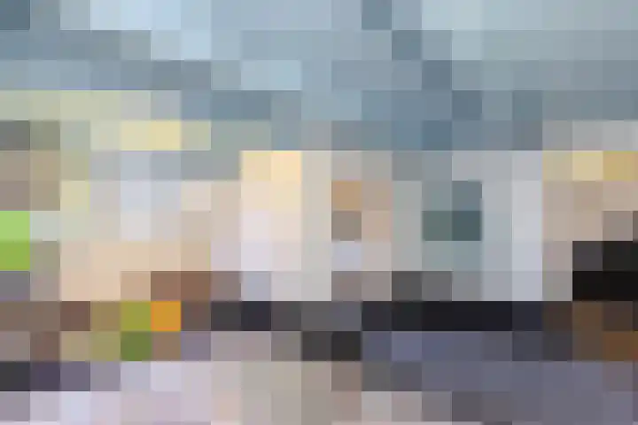 Warande 171 Schiedam thumbnail 45