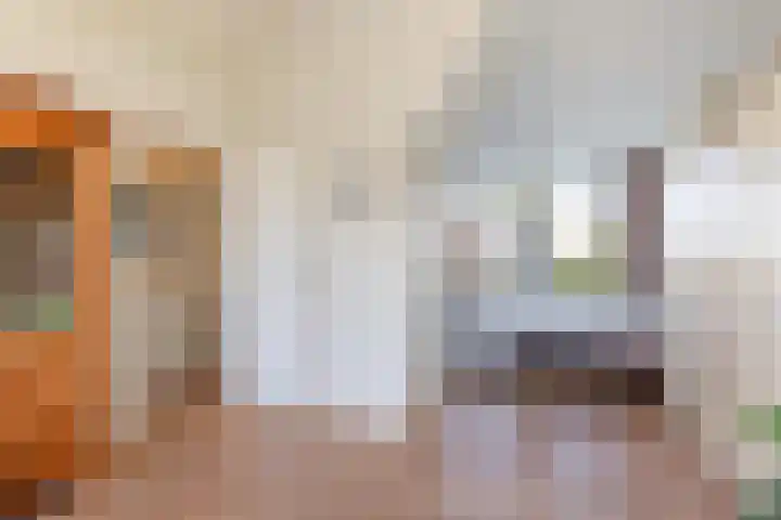 Warande 171 Schiedam thumbnail 52