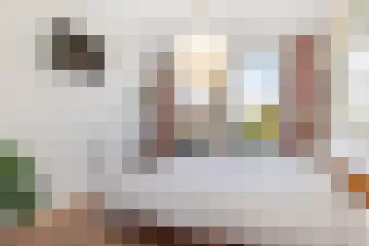 Warande 171 Schiedam thumbnail 53
