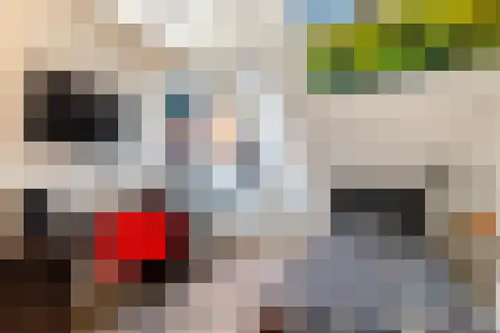 Warande 171 Schiedam thumbnail 67