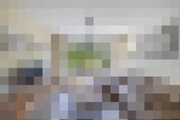 Warande 24 Marknesse thumbnail 11