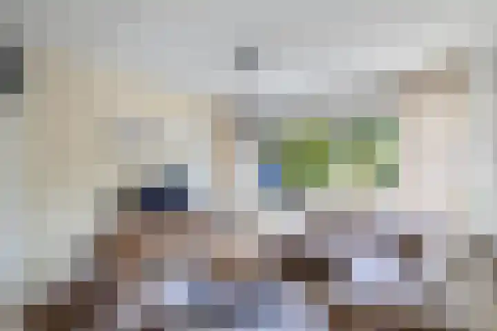 Warande 24 Marknesse thumbnail 12