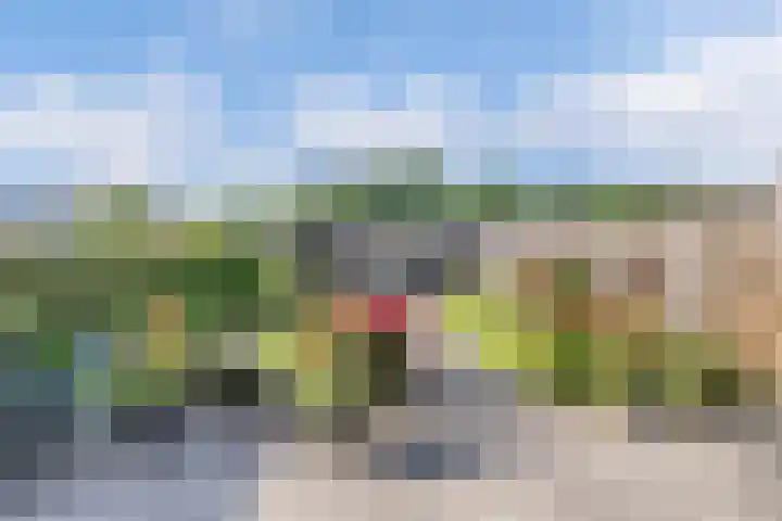 Warande 24 Marknesse thumbnail 25