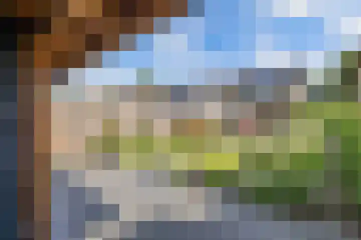 Warande 24 Marknesse thumbnail 27
