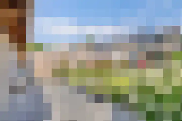 Warande 24 Marknesse thumbnail 28
