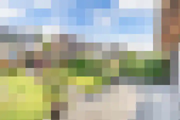 Warande 24 Marknesse thumbnail 29