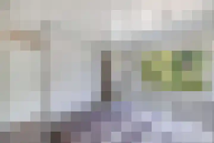 Warande 24 Marknesse thumbnail 39