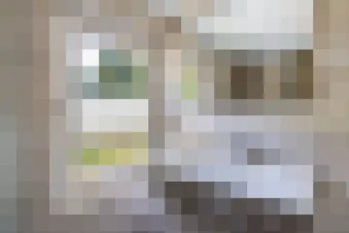 Warande 24 Marknesse thumbnail 44