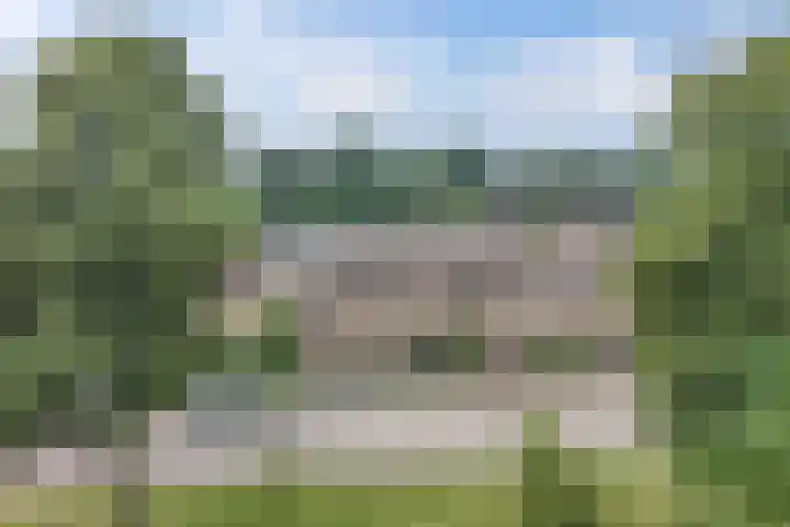 Warande 24 Marknesse thumbnail 8