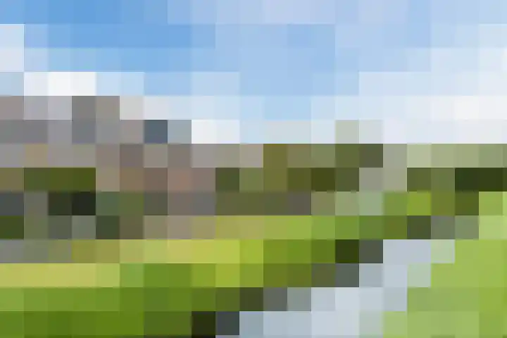 Warande 29 Callantsoog thumbnail 10