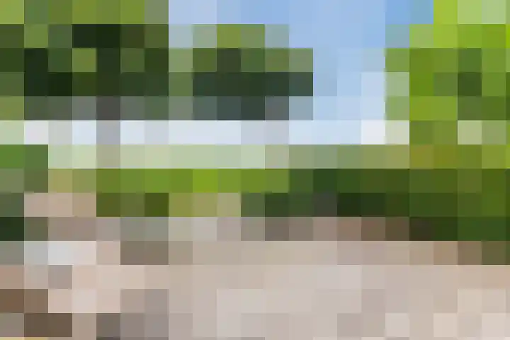 Warande 29 Callantsoog thumbnail 12
