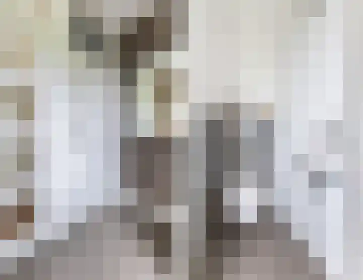 Warande 29 Callantsoog thumbnail 14