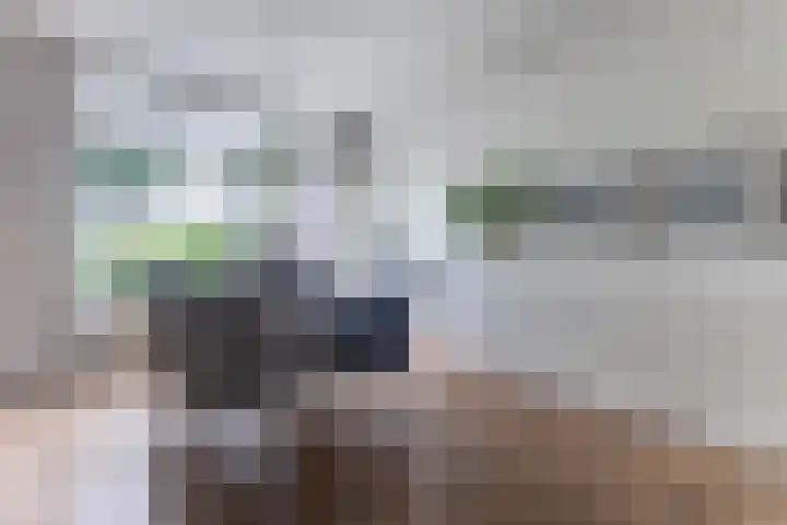 Warande 29 Callantsoog thumbnail 21