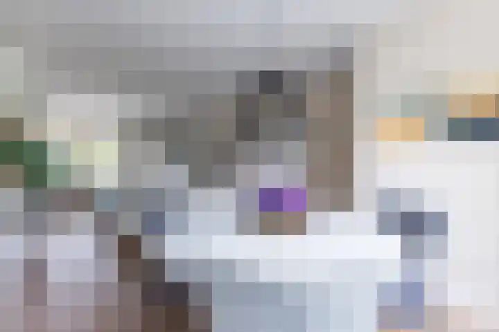 Warande 29 Callantsoog thumbnail 22
