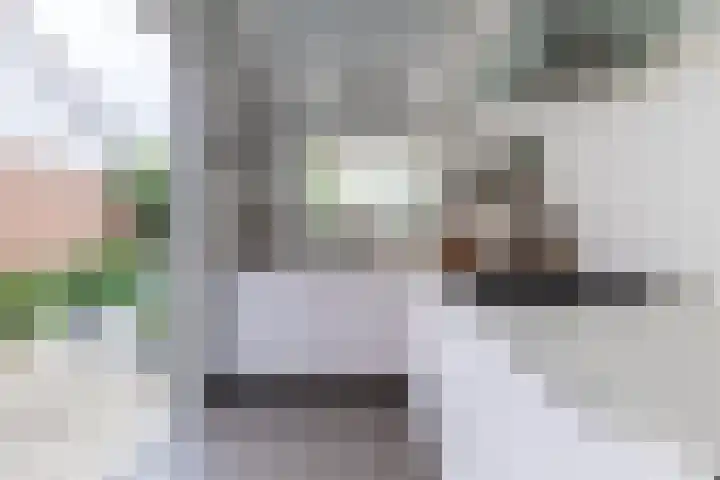 Warande 29 Callantsoog thumbnail 24