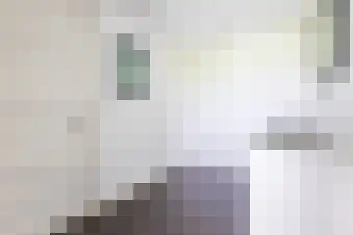 Warande 29 Callantsoog thumbnail 27