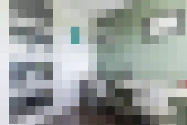 Warande 29 Callantsoog thumbnail 34