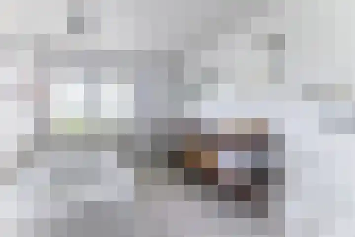 Warande 29 Callantsoog thumbnail 35