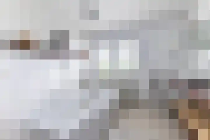 Warande 29 Callantsoog thumbnail 36