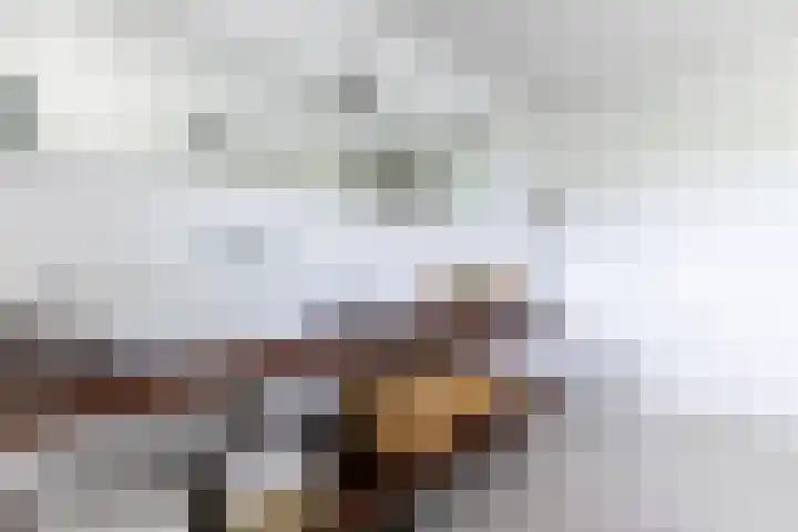 Warande 29 Callantsoog thumbnail 38
