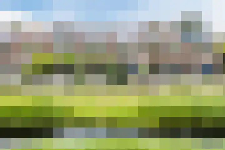 Warande 29 Callantsoog thumbnail 4