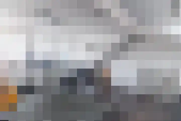 Warande 29 Callantsoog thumbnail 40