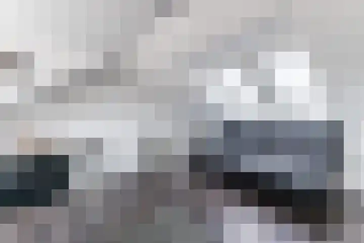 Warande 29 Callantsoog thumbnail 42