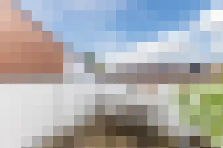 Warande 29 Callantsoog thumbnail 45