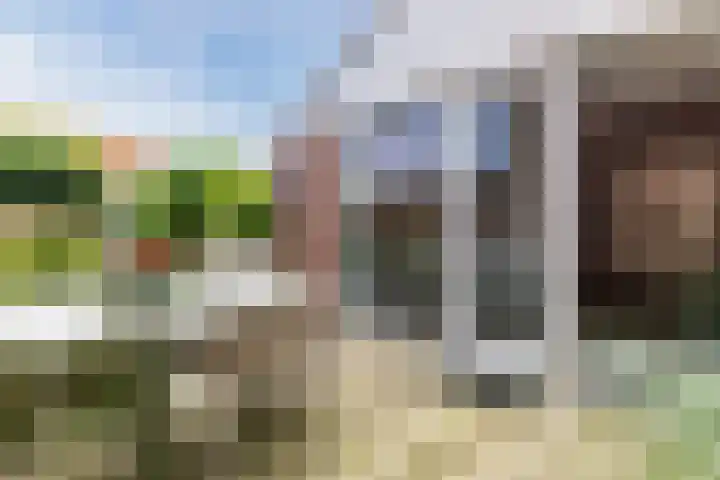 Warande 29 Callantsoog thumbnail 47