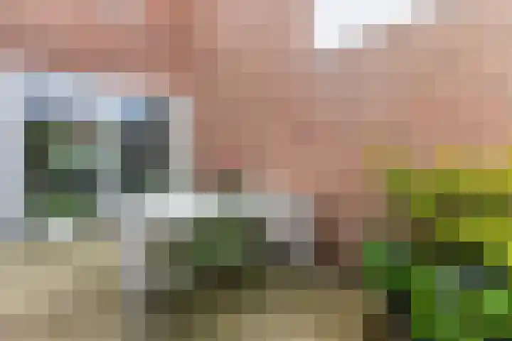 Warande 29 Callantsoog thumbnail 49