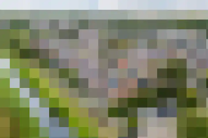 Warande 29 Callantsoog thumbnail 5