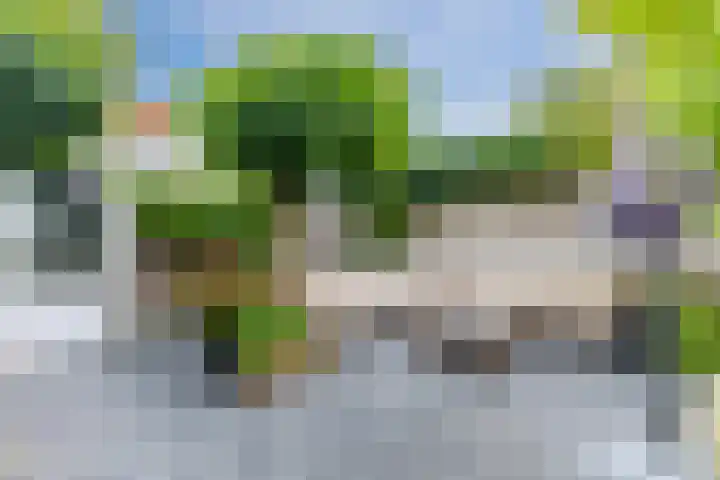 Warande 29 Callantsoog thumbnail 50