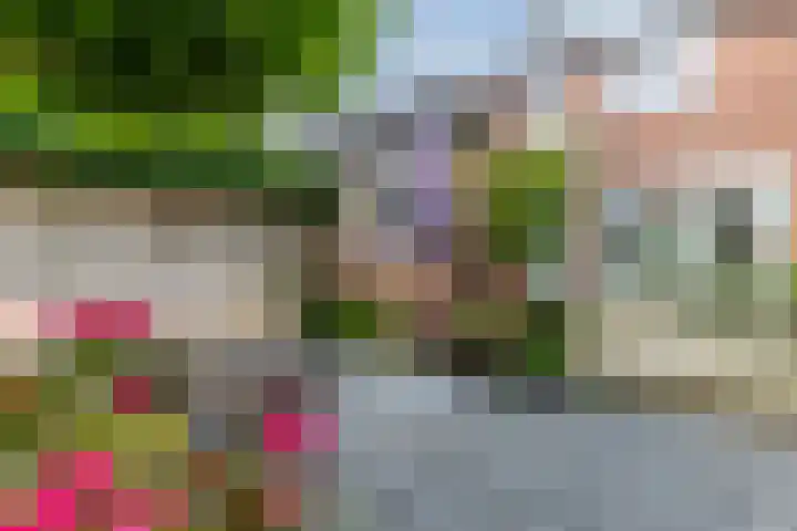 Warande 29 Callantsoog thumbnail 51