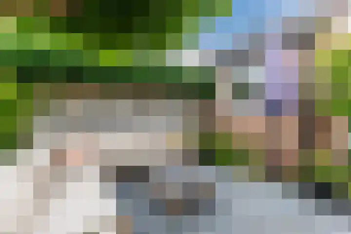 Warande 29 Callantsoog thumbnail 52
