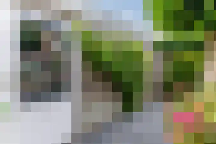 Warande 29 Callantsoog thumbnail 53