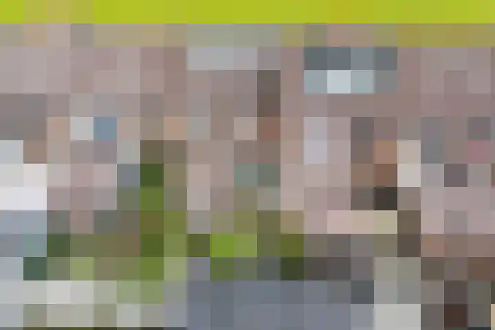 Warande 29 Callantsoog thumbnail 55