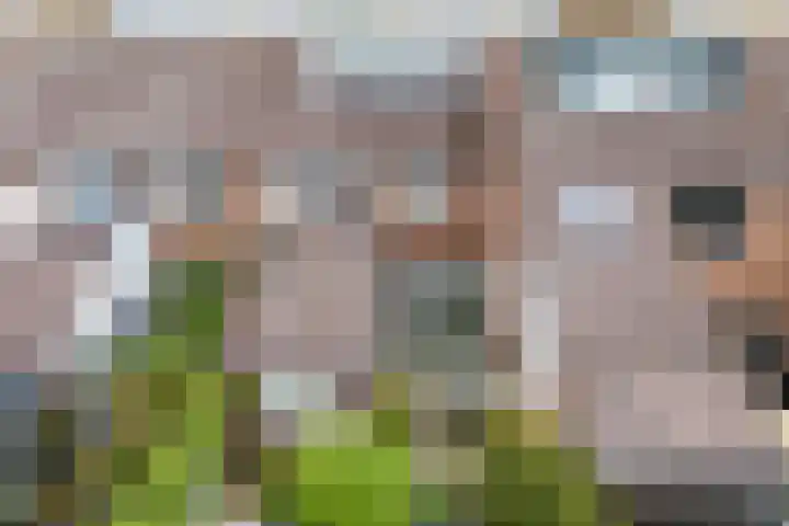 Warande 29 Callantsoog thumbnail 56