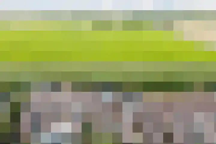 Warande 29 Callantsoog thumbnail 57